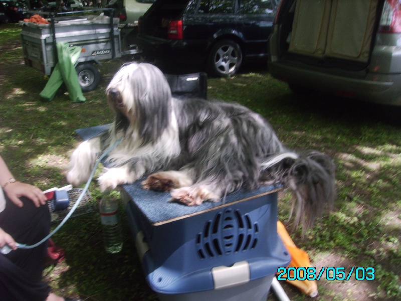 expos sully sur loire 2008