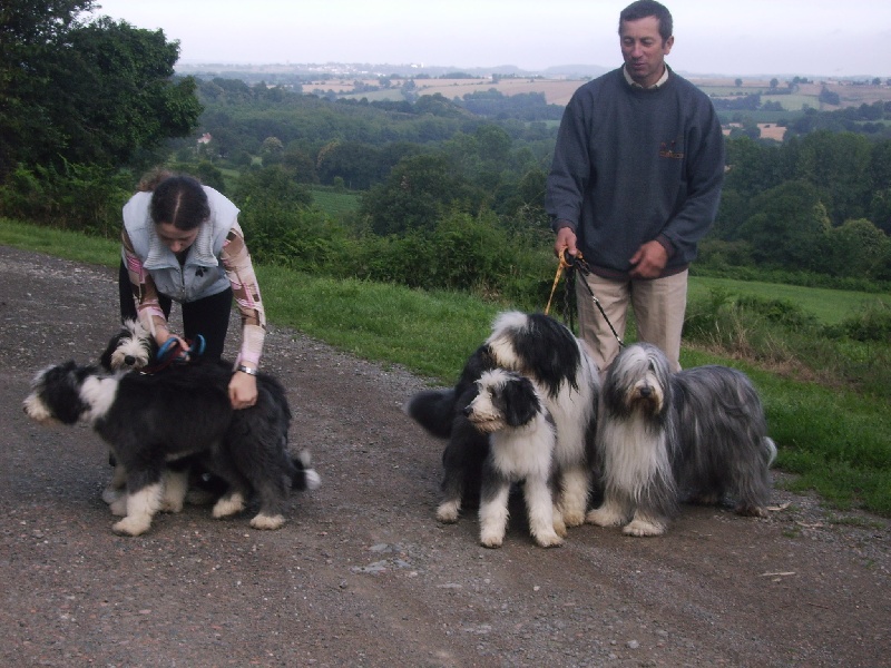 chiots 2007